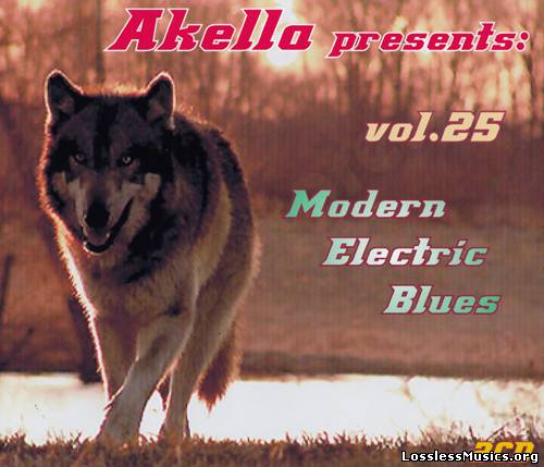 VA - Akella Presents: Modern Electric Blues - Vol.25 (2013)