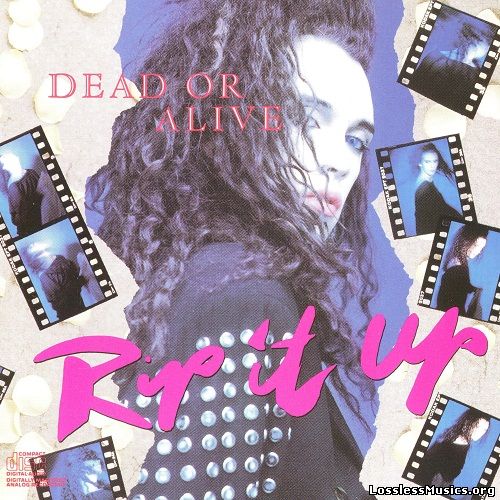 Dead Or Alive - Rip It Up (1987)