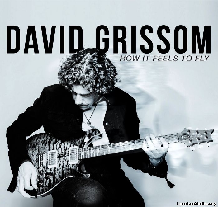 David Grissom - How It Feels To Fly (2014)
