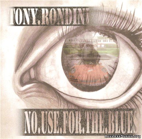 Tony Rondini - No Use for the Blues (2015)