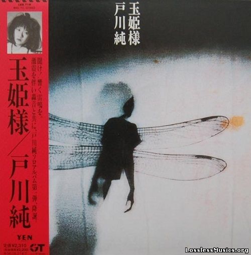 Jun Togawa - Tamahime Sama [Remastered] (2006)