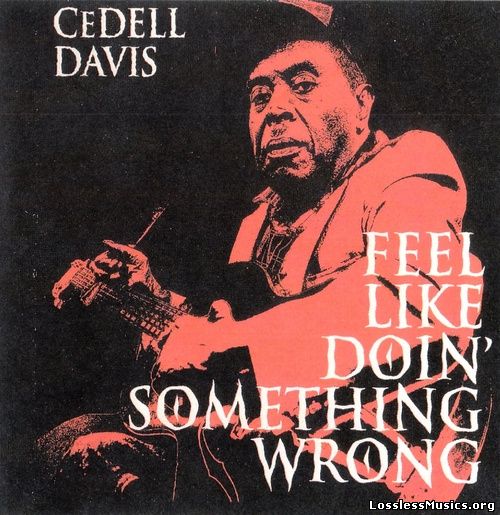 Cedell Davis - Feel Like Doin' Something Wrong (1995)