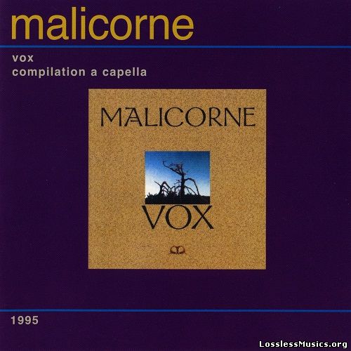 Malicorne - Vox [Reissue] (2005)