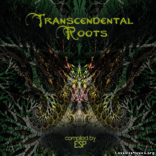 VA - Transcendental Roots (2015)