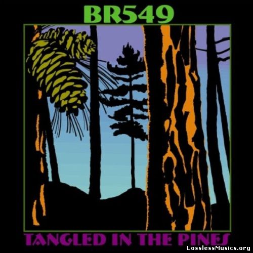 BR5-49 - Tangled In The Pines (2004)