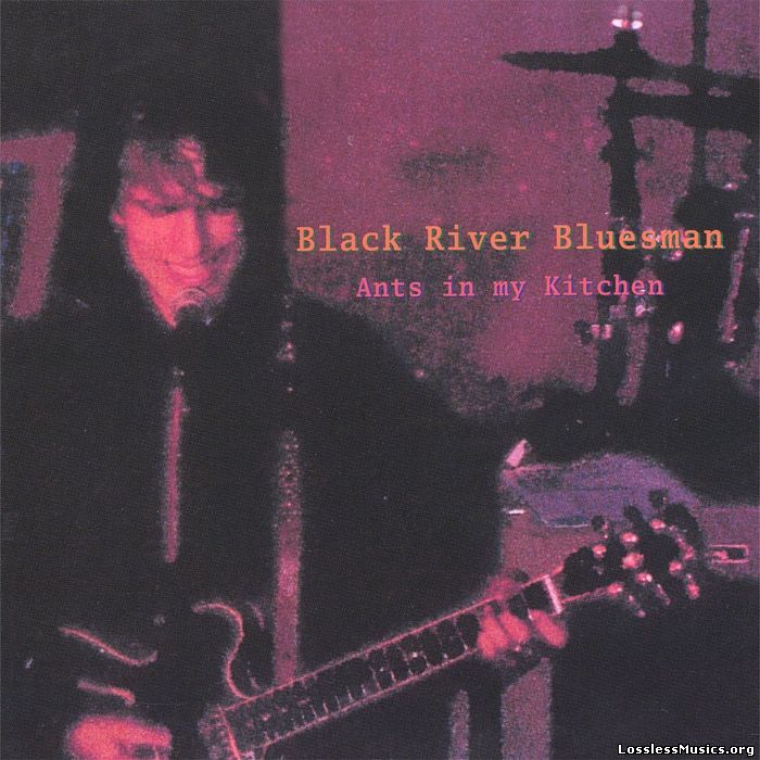 Black River Bluesman - Ants In My Kitchen (2005)
