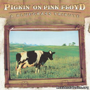 Various Artists - Pickin' on Pink Floyd- A Bluegrass Tribute (2001)