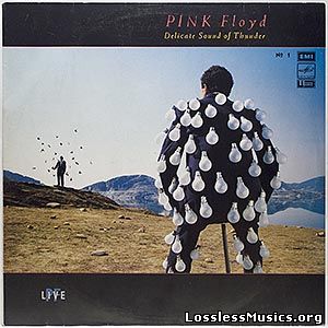 Pink Floyd - Delicate Sound Of Thunder [VinylRip] (1988) (Live 2LP)