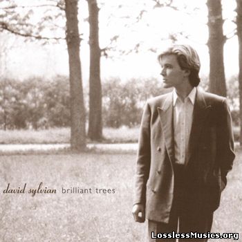David Sylvian - Brilliant Trees (1984)