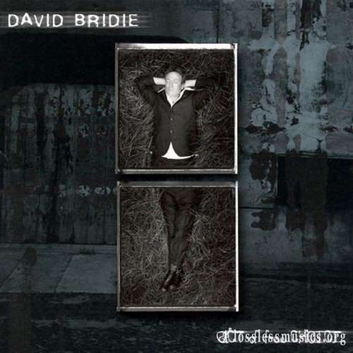 David Bridie - Act of Free Choice [SACD] (2000)
