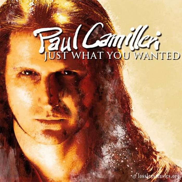 Paul Camilleri - Just What You Wanted (2011)