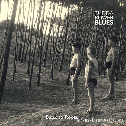 Budda Power Blues - Back To Roots (2018)