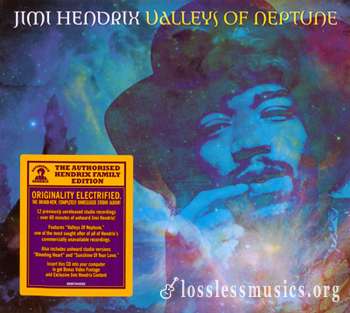 Jimi Hendrix - Valleys Of Neptune (2010)
