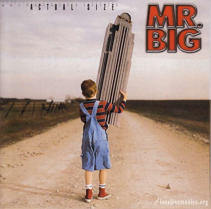 Mr. Big - Actual Size (2001)