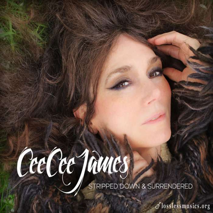 Cee Cee James - Stripped Down & Surrendered (2016)