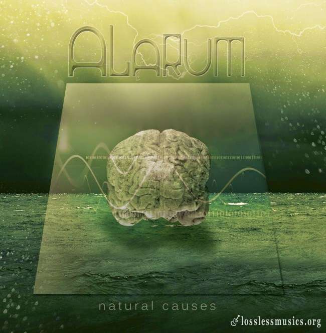 Alarum - Natural Causes (2011)