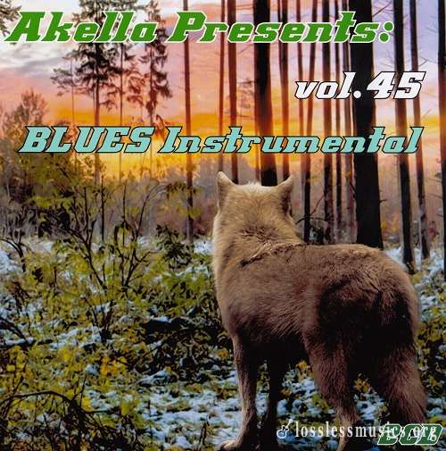 VA - Akella Presents: Blues Instrumental - Vol.45 (2013)