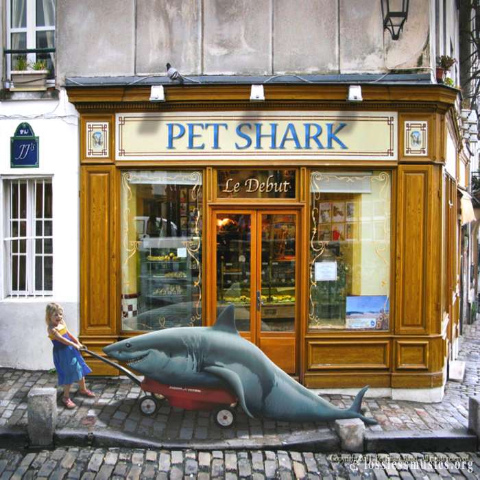 Pet Shark - Le Debut (2011)