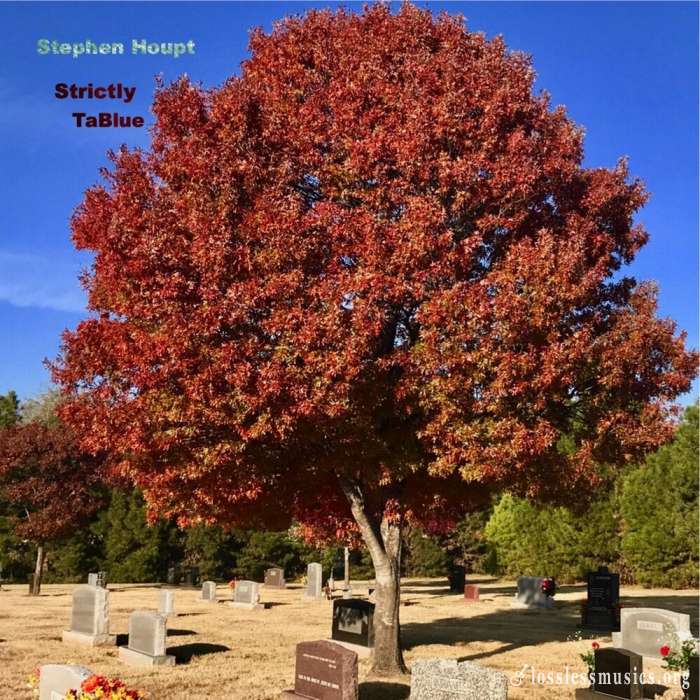Stephen Houpt - Strictly Tablue (2019)