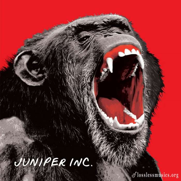 Juniper Inc. - Juniper Inc. (2017)