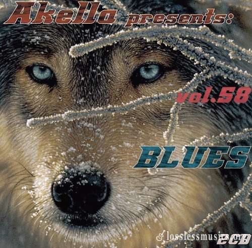 VA - Akella Presents: Various Styles Of Blues - Vol.58 (2013)
