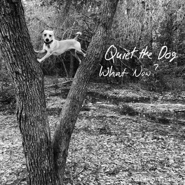 Quiet The Dog - What Now? (2018)