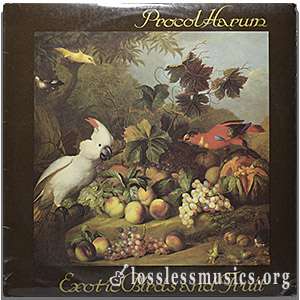Procol Harum - Exotic Birds and Fruit [Vinyl Rip] (1974)