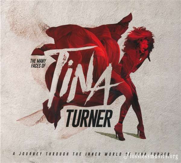 VA - The Many Faces Of Tina Turner - A Journey Through The Inner World Of Tina Turner (3CD) 2018)