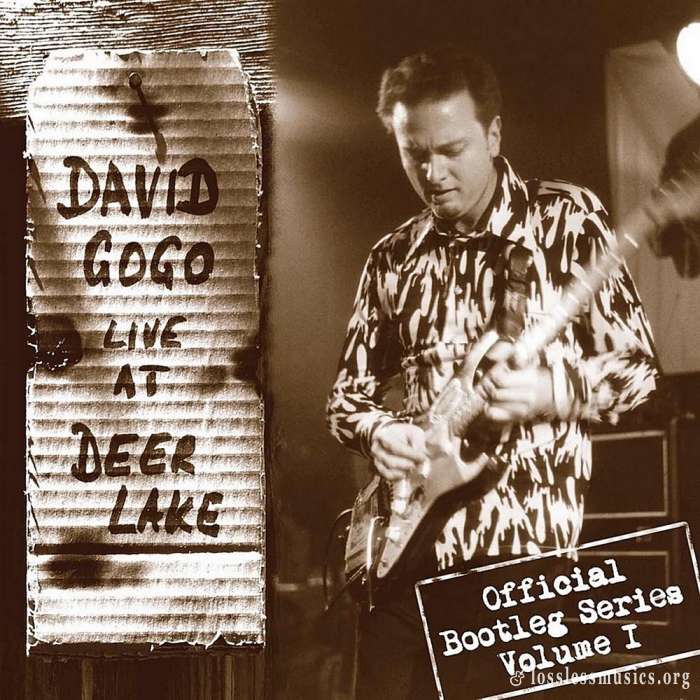 David Gogo - Live At Deer Lake (2003)