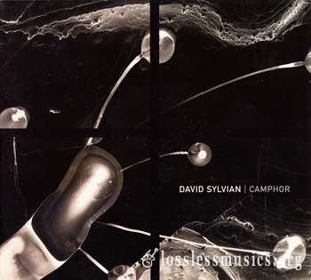 David Sylvian - Camphor (2002) [Limited Edition]