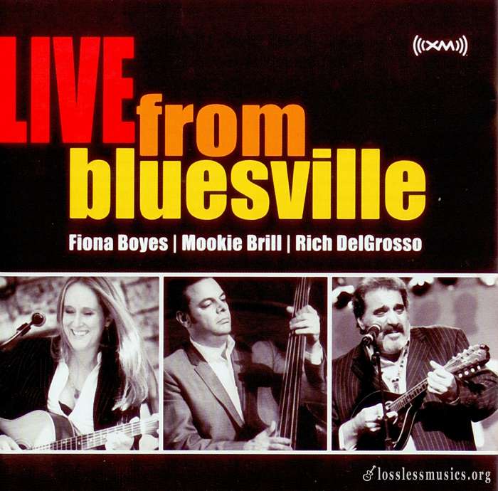 Fiona Boyes, Mookie Brill, Rich DelGrosso - Live From Bluesville (2008)