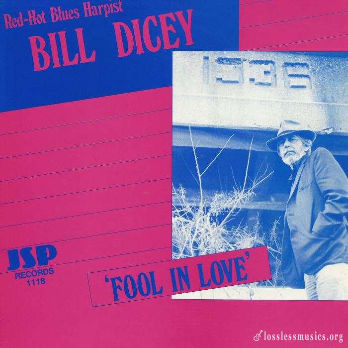 Bill Dicey - Fool In Love [Vinyl-Rip] (1987)