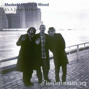 Medeski Martin & Wood - It's A Jungle In Here (1993)