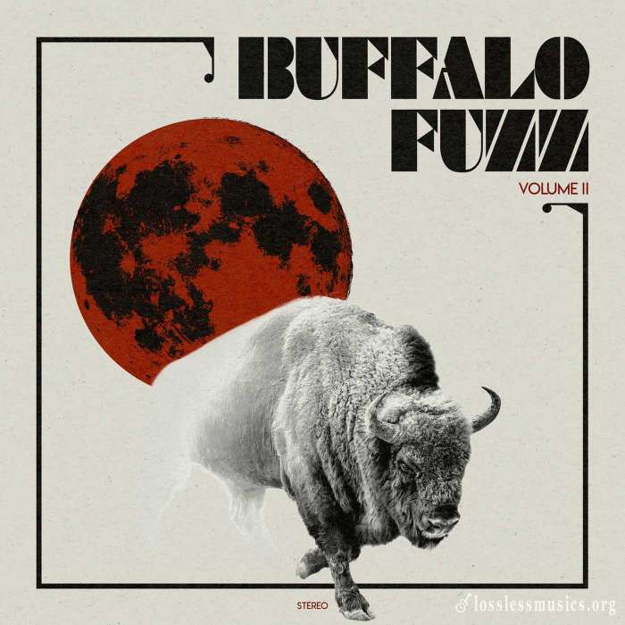 Buffalo Fuzz - Volume II (2020) [WEB]