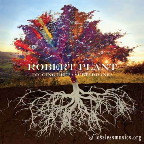 Robert Plant - Digging Dеер: Subtеrrаnеа (2СD) (2020)