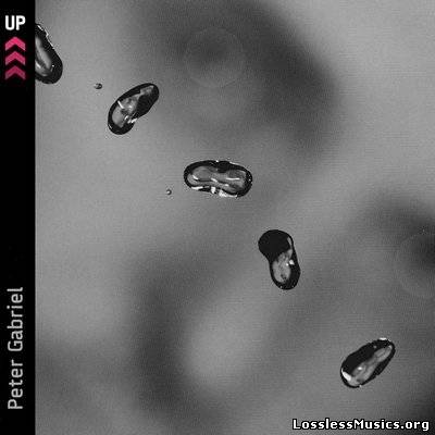 Peter Gabriel - Up (2002)