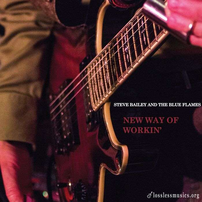 Steve Bailey and The Blue Flames - New Way Of Workin' (2014)