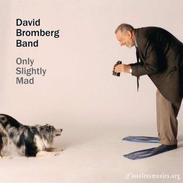 David Bromberg Band - Only Slightly Mad (2013)