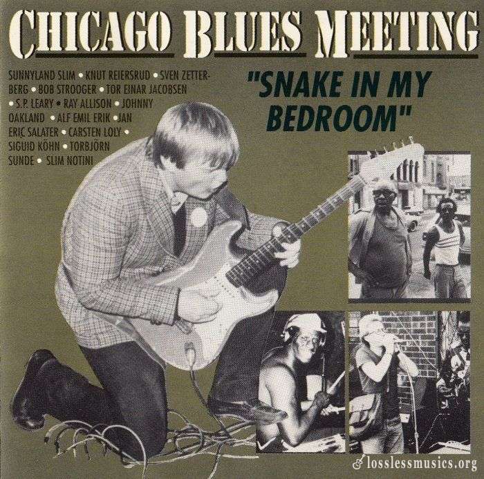 Chicago Blues Meeting - Snake In My Bedroom (1986)