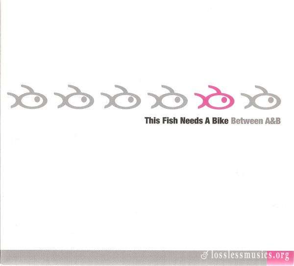 This Fish Needs A Bike - Between A & B (2004)