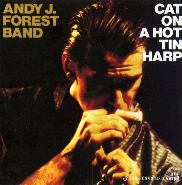 Andy J. Forest Band - Cat On A Hot Tin Harp (1995)
