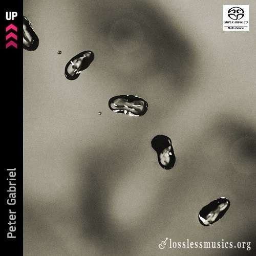 Peter Gabriel - Up [SACD] (2003)