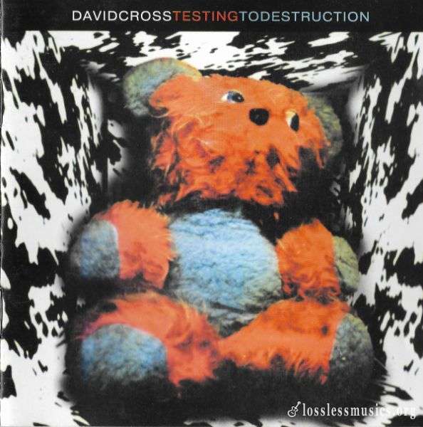 David Cross - Testing To Destruction (1994)