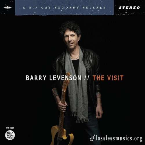 Barry Levenson - Тhе Visit (2015)