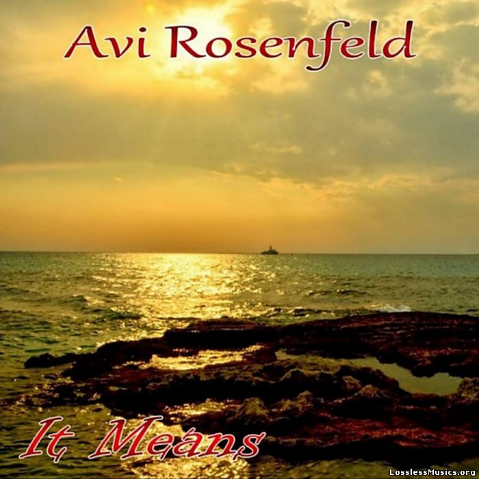 Avi Rosenfeld - It Means (2014)